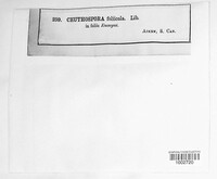 Image Associated With the Occurence